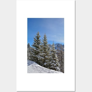 Snowy Trees on Monte Lussari Posters and Art